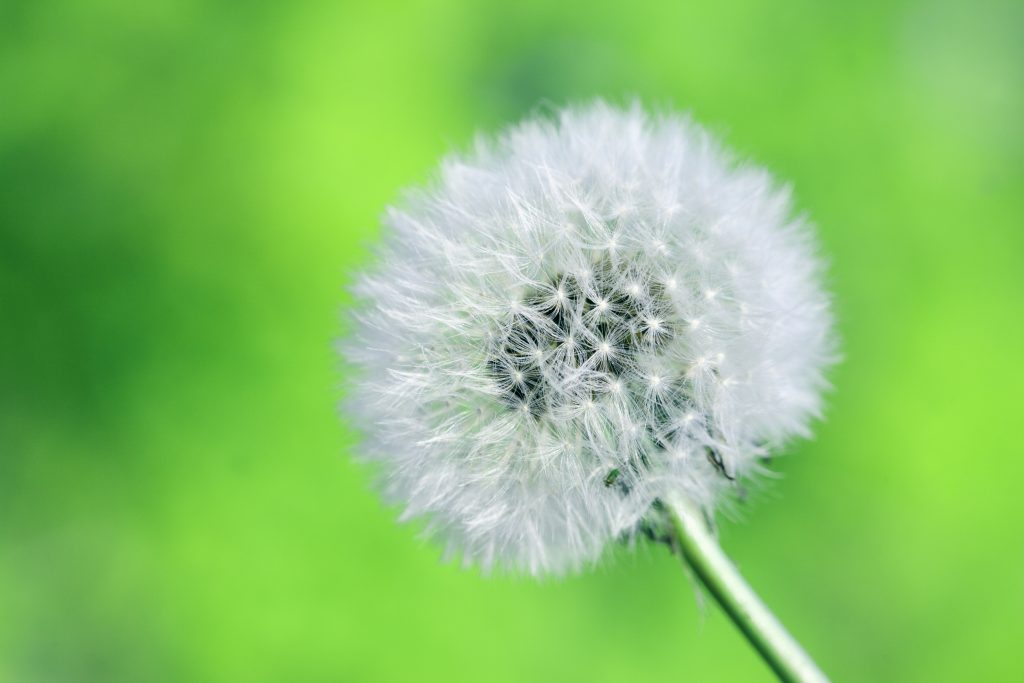 great abundance
