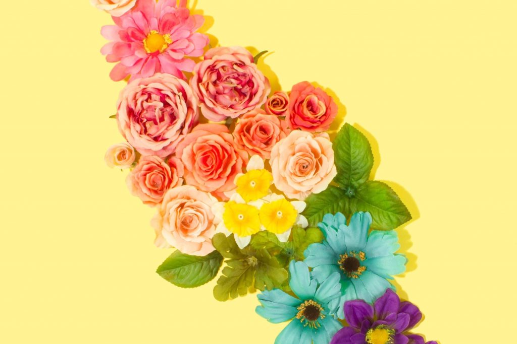 Abraham believed God