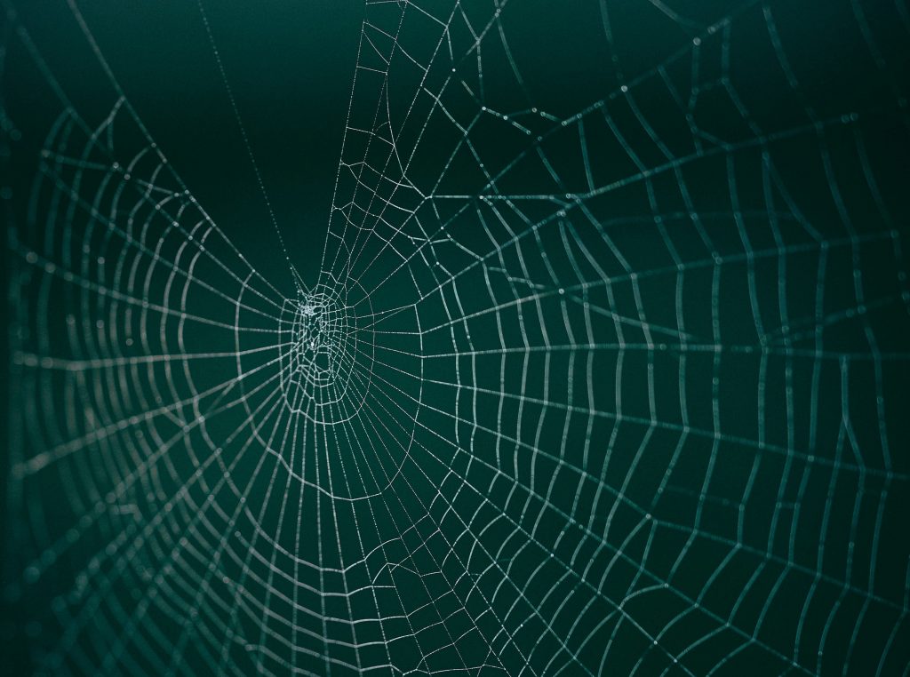 don’t trust in a spider’s web