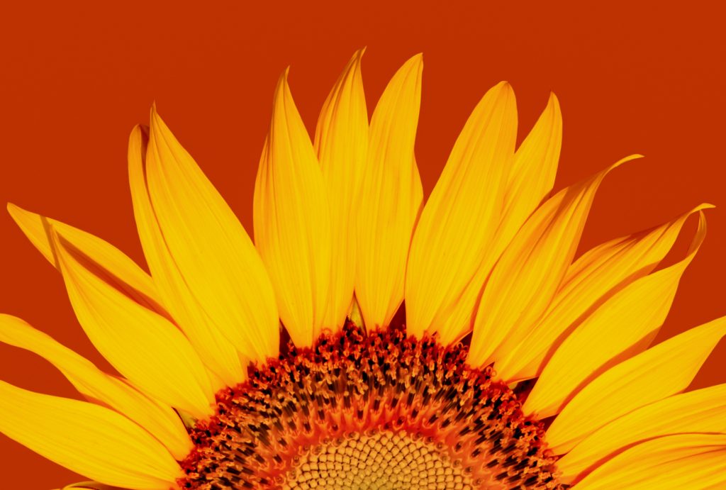 two are better than one, three are even better