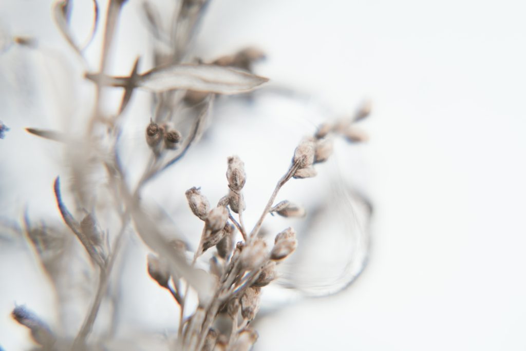 the faithful love of the Lord