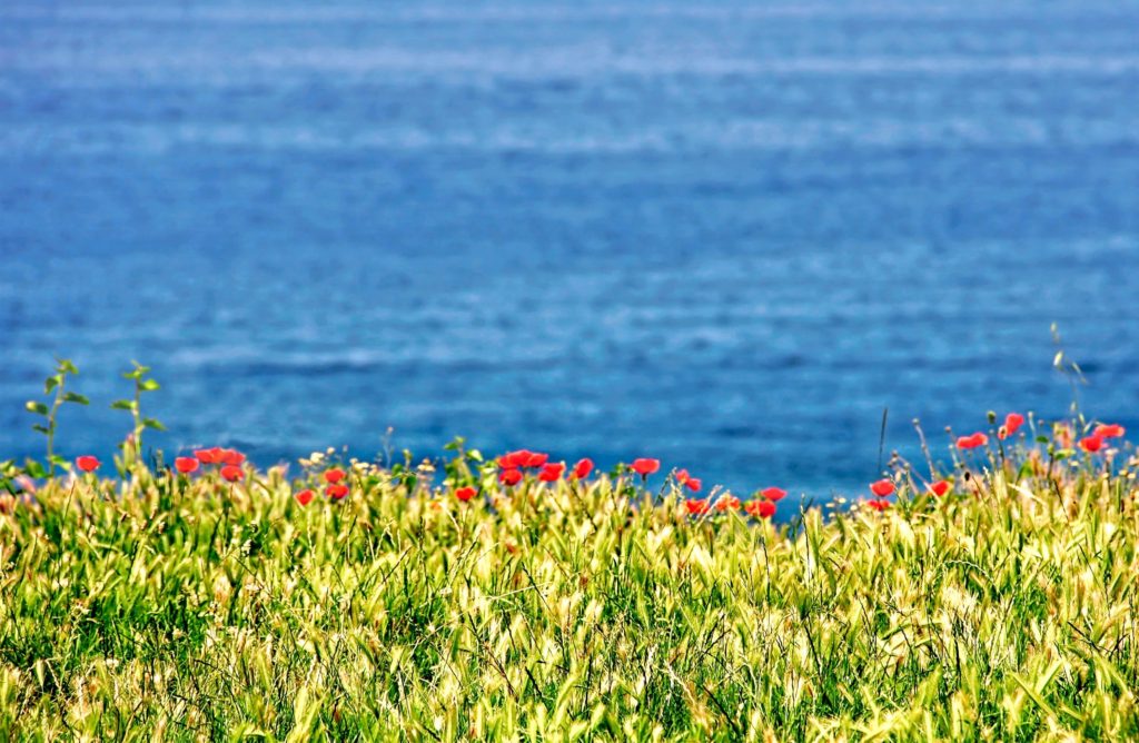 with God all things are possible