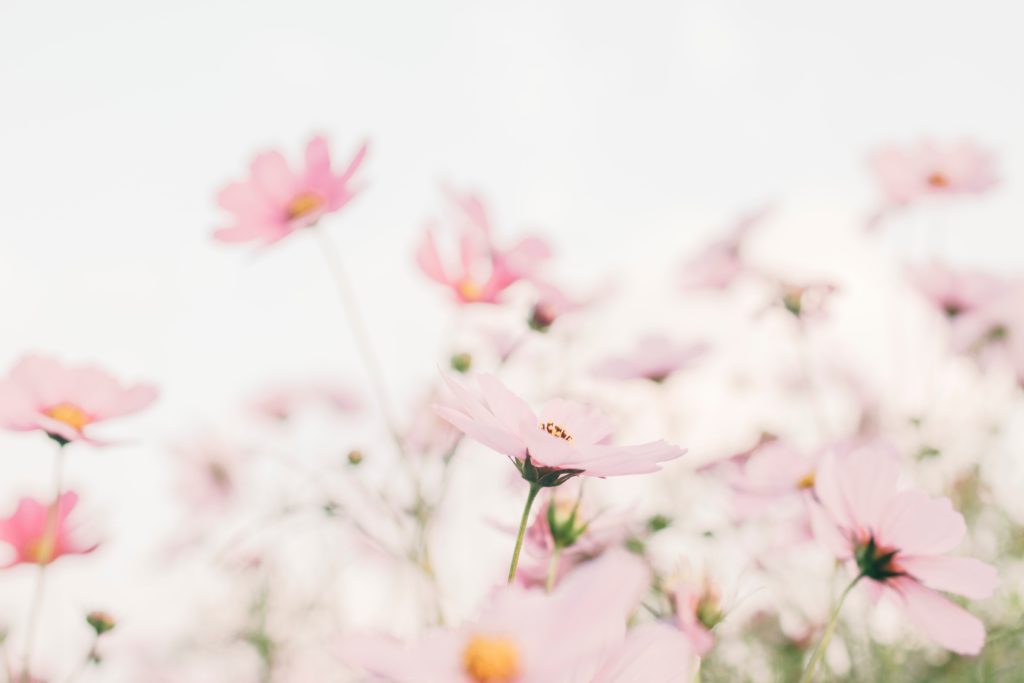 your heart’s desires