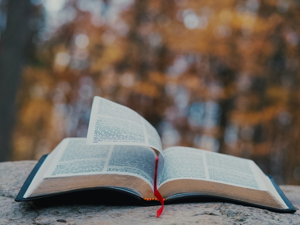 beyond comprehension