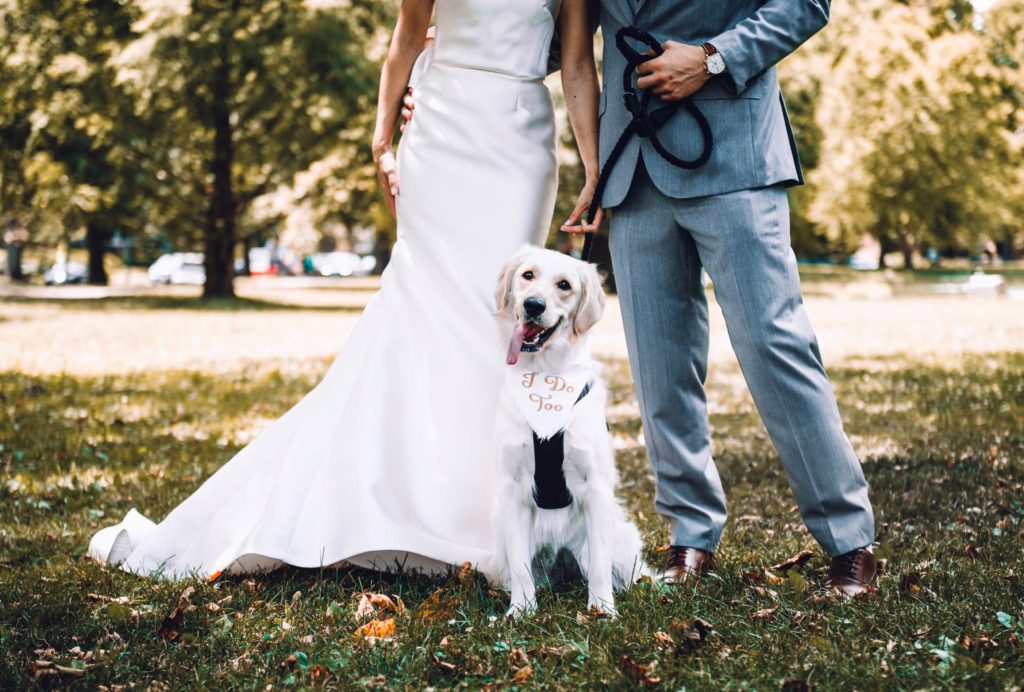 the wonders of the Lord