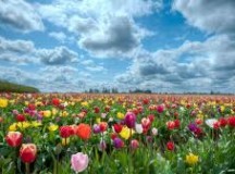 He Will Guide you Continually