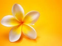 Small With Insignificance