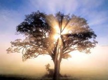 The Mystery of God’s patience