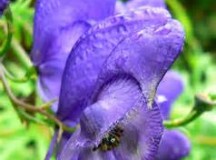 Our Eyes Are Upon You