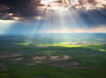 The LORD Will Answer When You Call to Him