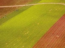 You Light a Lamp For Me