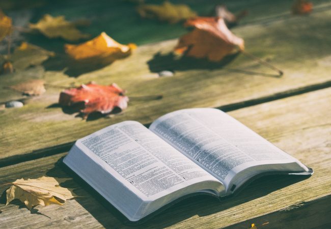 As the Scriptures say,