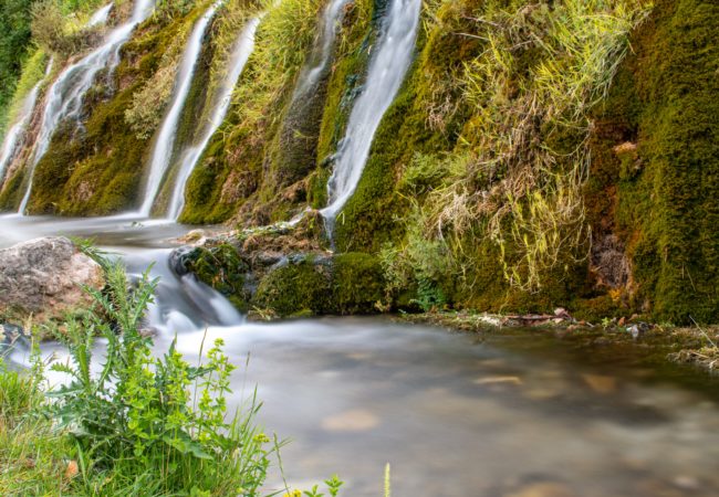 rivers in the dry wasteland