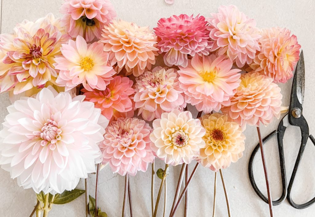 a wonderful future ahead of him