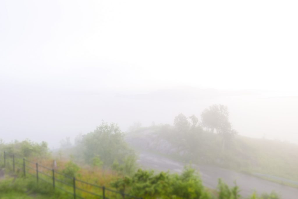 you have collected all my tears