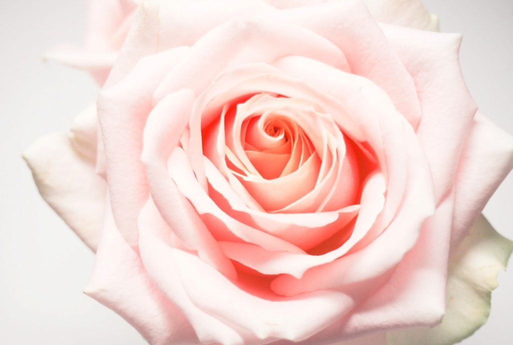 the strong arm of the Lord