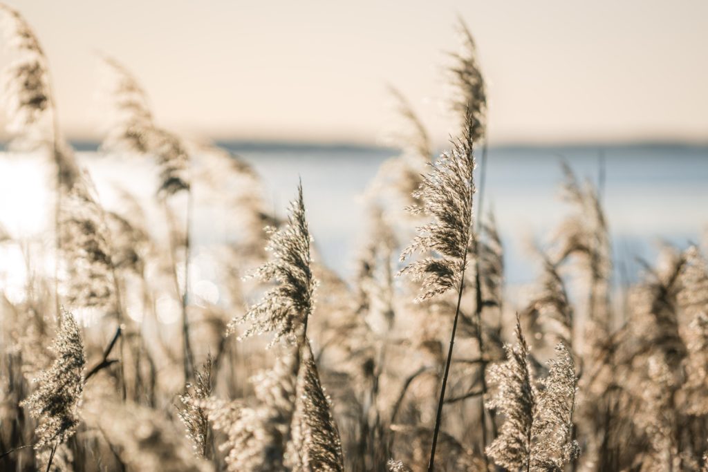 everything serves God’s plan