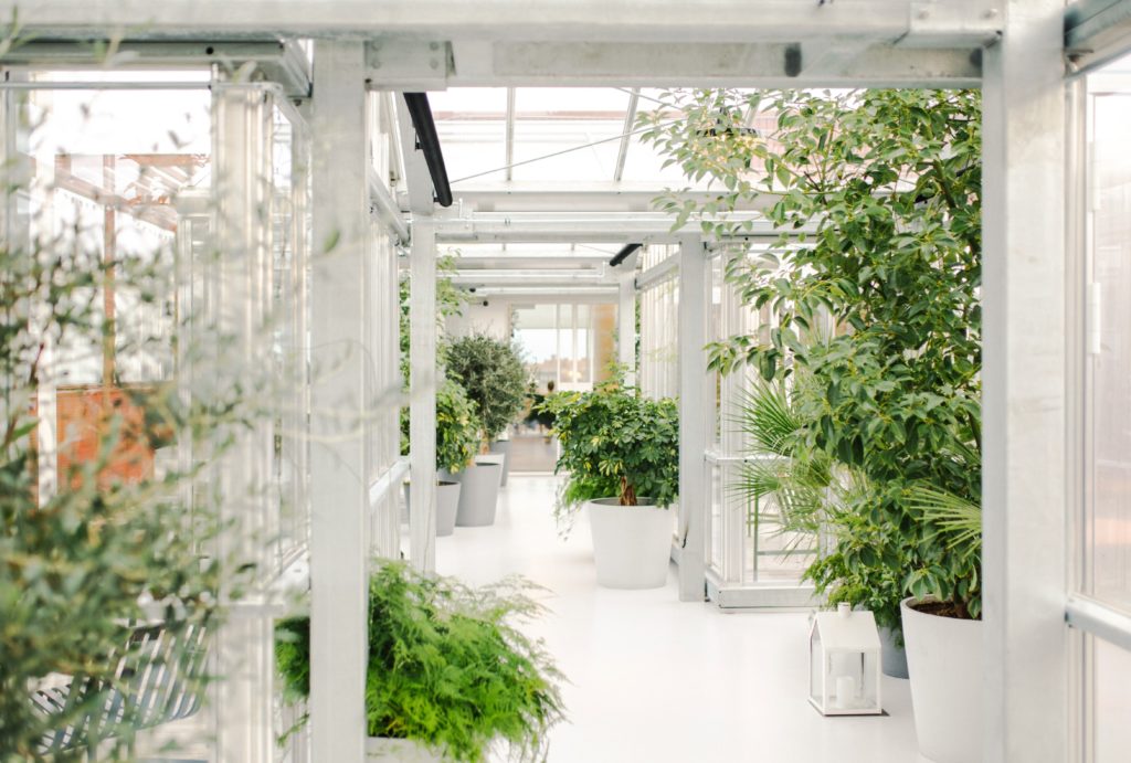 He is a God who saves