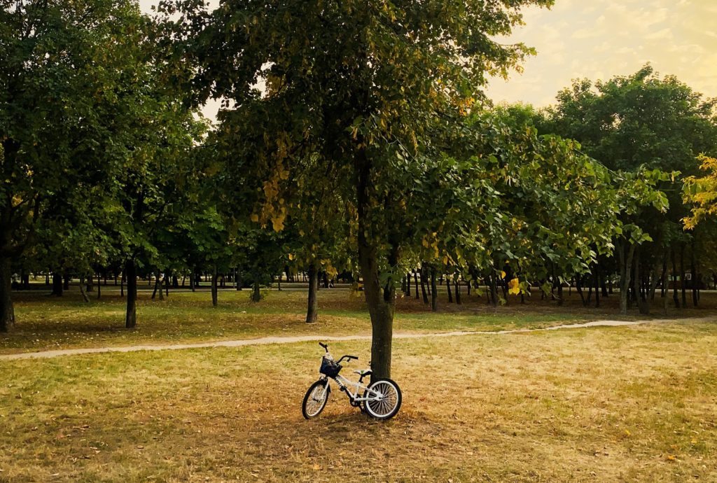 the Word of the Lord will last forever