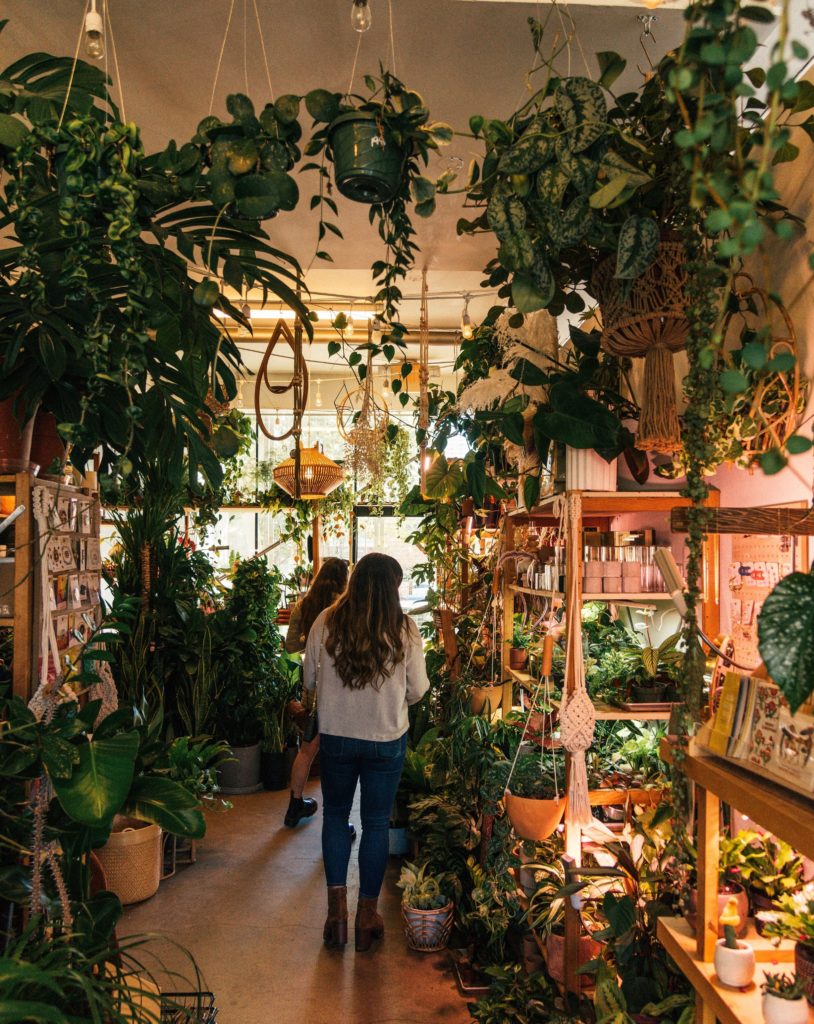 with seven loaves of bread