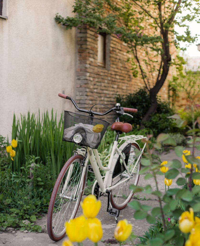 the one in whom I trust