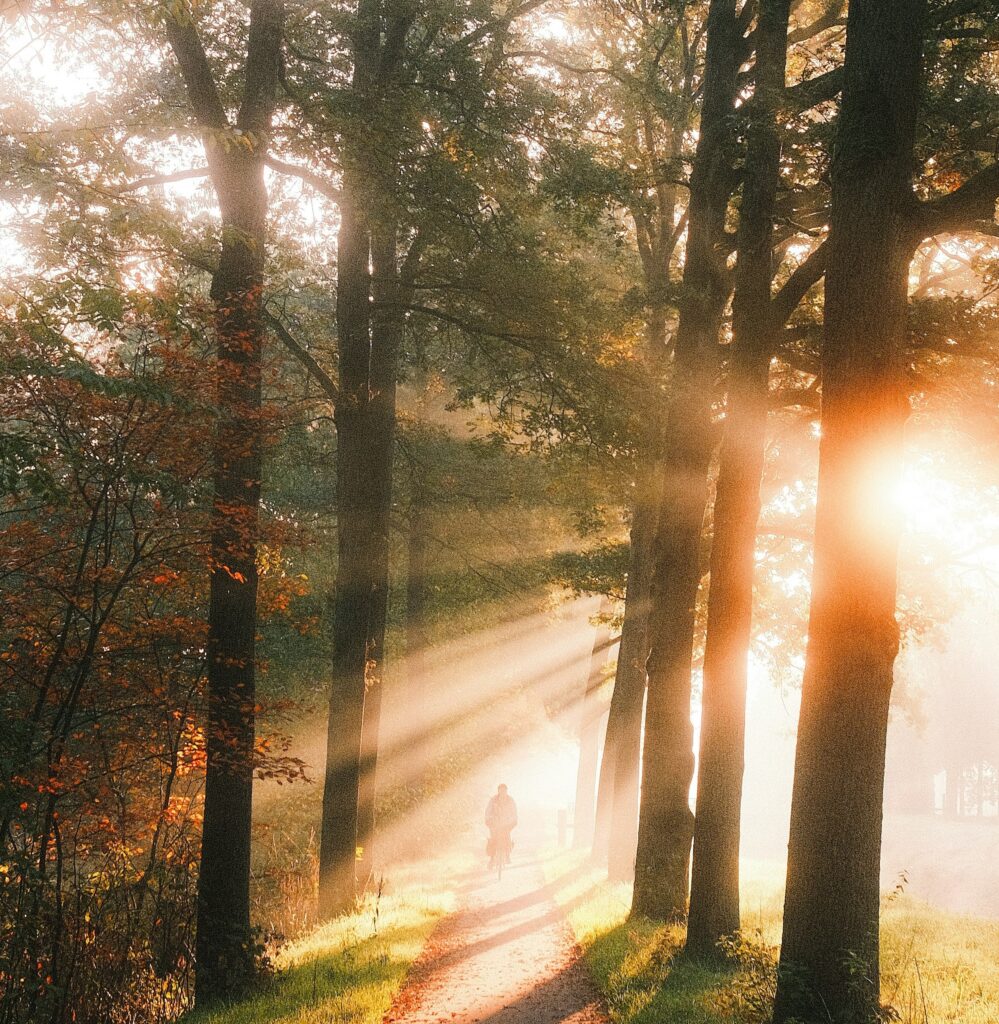 the Lord’s light