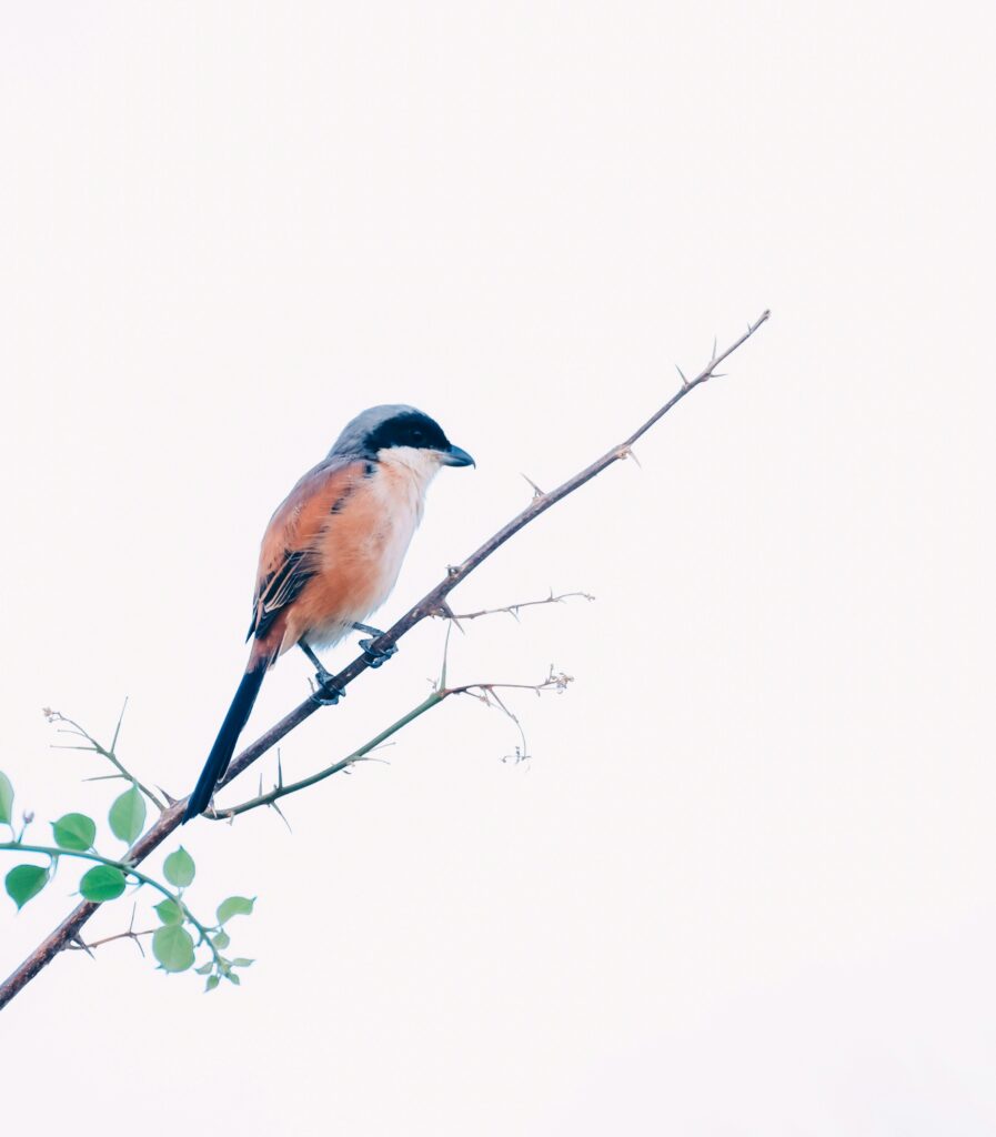 remember the things I have done in the past