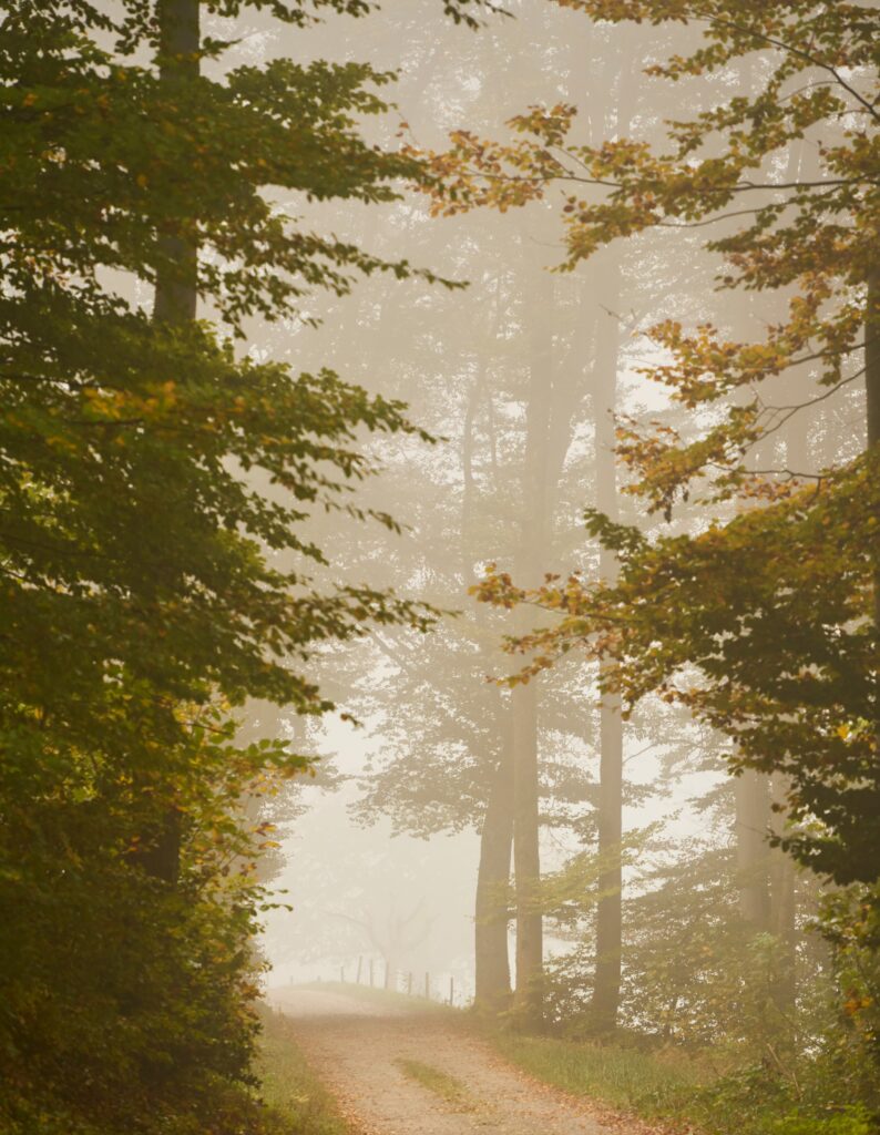 the Spirit also helps in our weaknesses